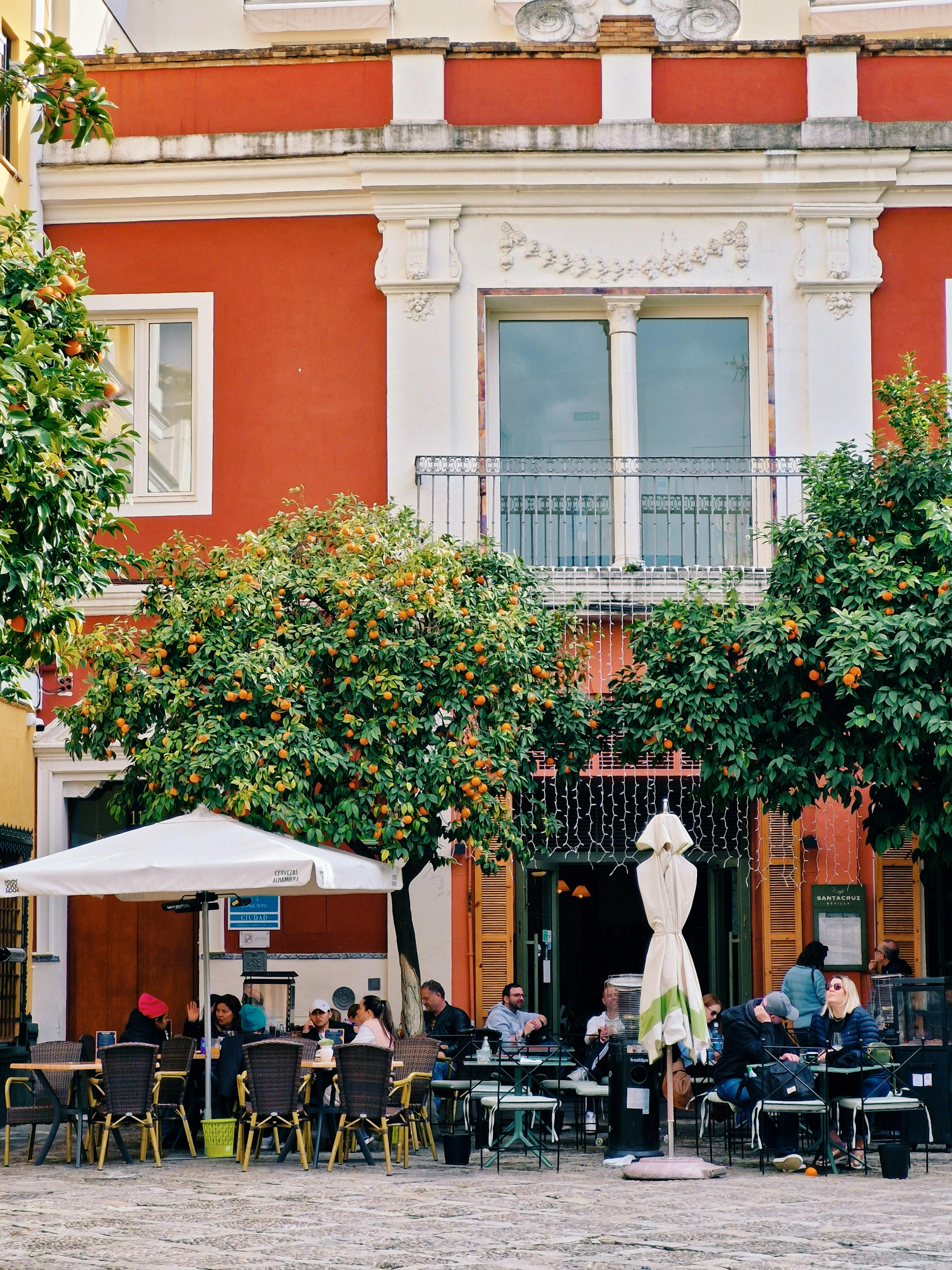 Spain Travel Guide: Sun-Soaked Cities, Island Escapes and Mediterranean Magic